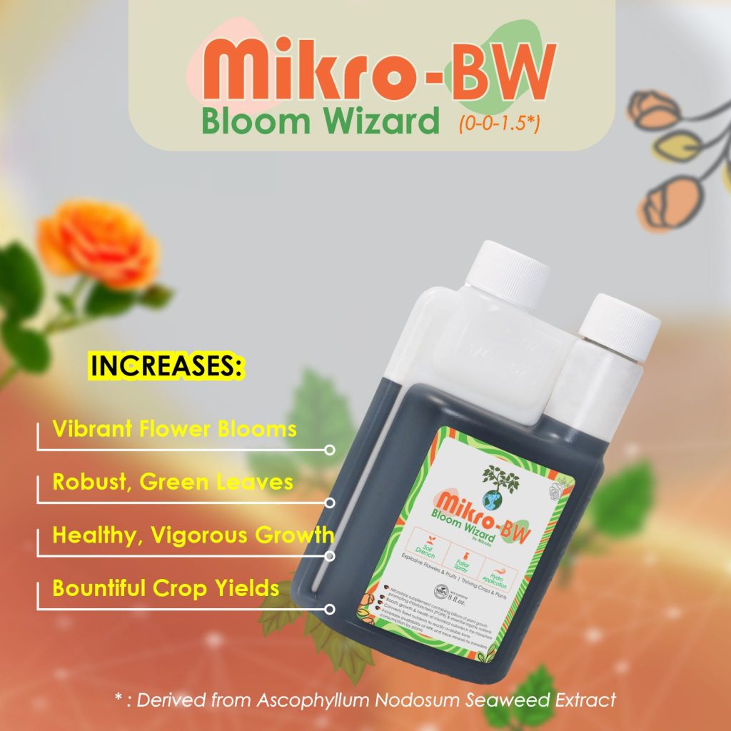 Mikro - BW's Bloom Wizard Product Infographic Designs 3