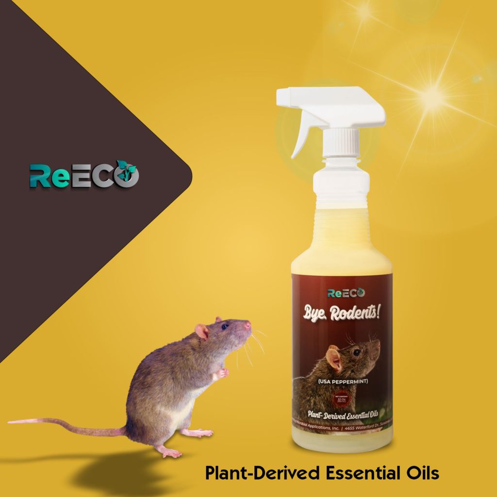 ReECO Bye Rodents Product Infographics Design 8