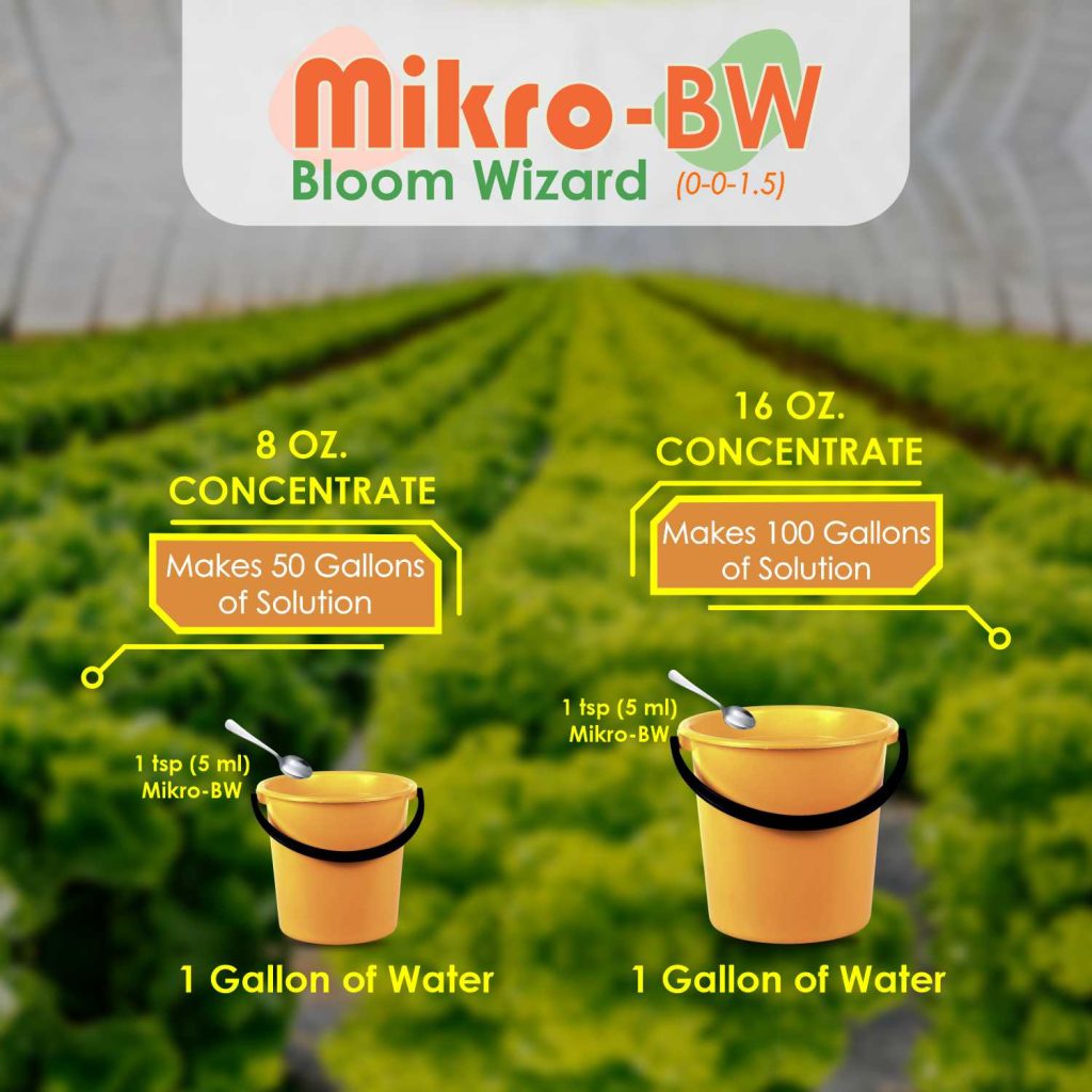 Mikro - BW's Bloom Wizard Product Infographic Designs 2