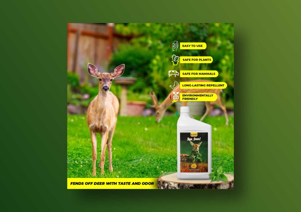 ReECO's Bye Deer Product Infographics Design 3