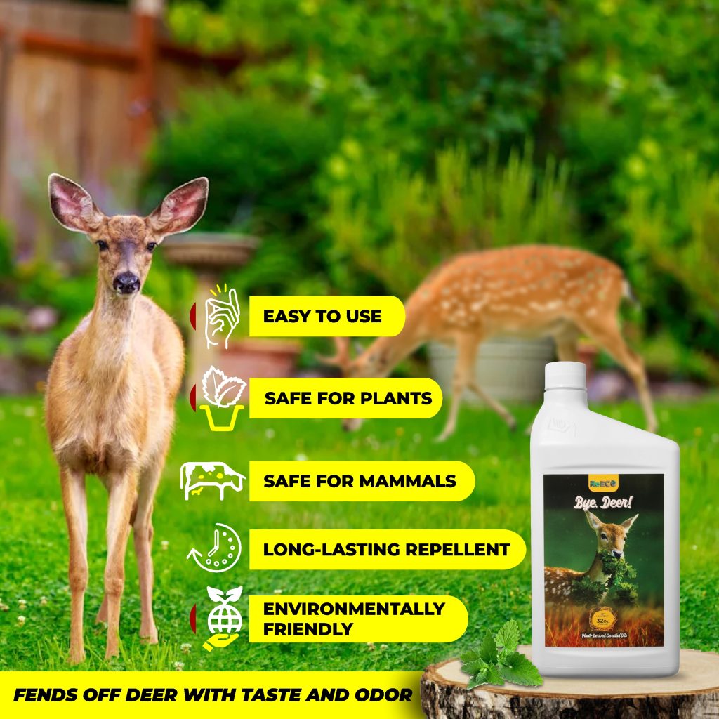 ReECO's Bye Deer Product Infographics Design 20