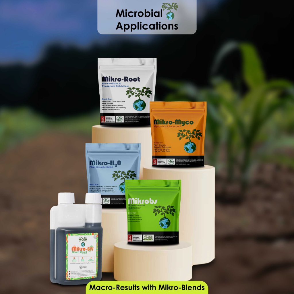 Infographics Showcasing All Mikrobs Product 2