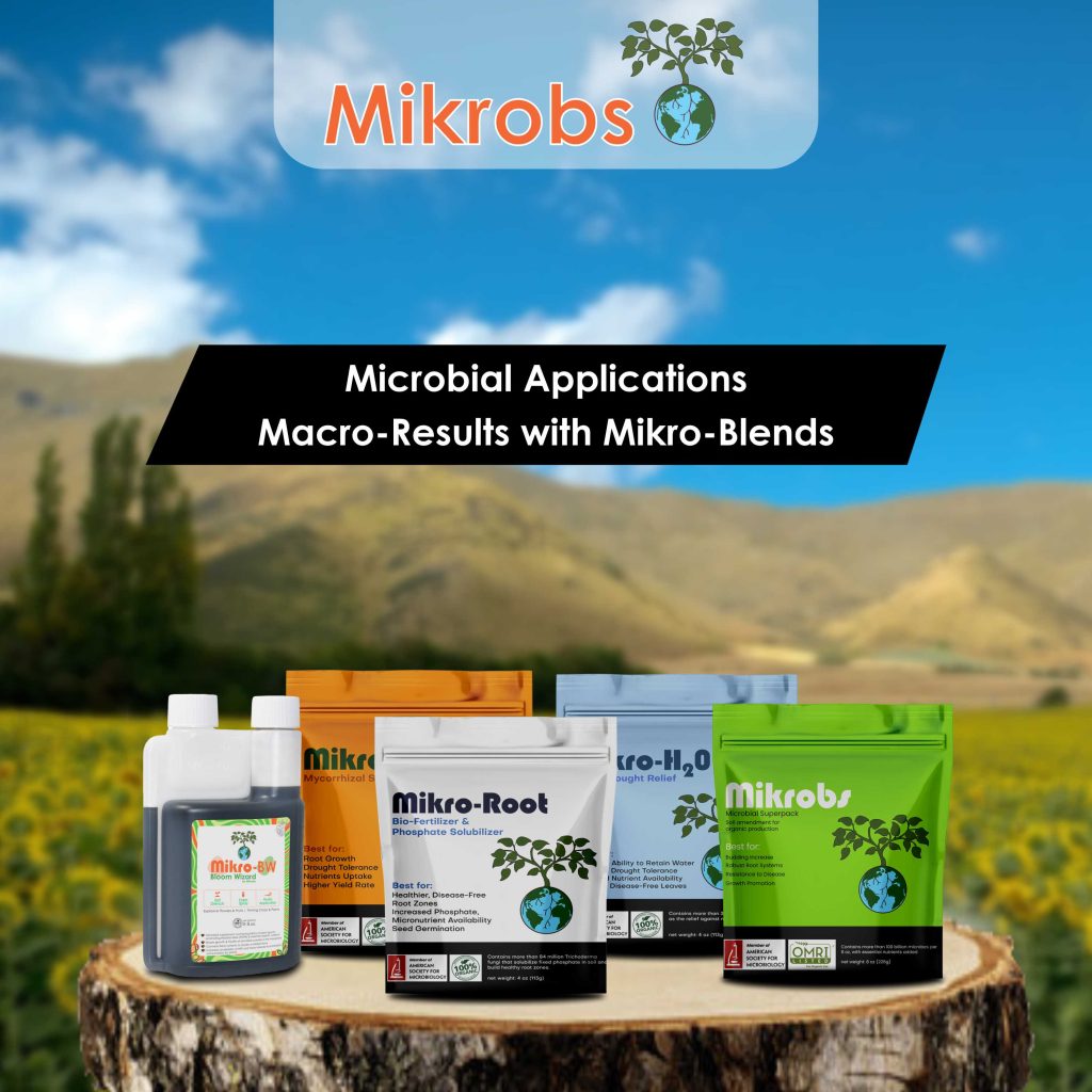 Infographics Showcasing All Mikrobs Product 2