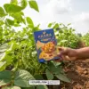 Branded akara chips packaging boxes for Nigerian food businesses