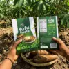 Custom cassava flour packaging box design