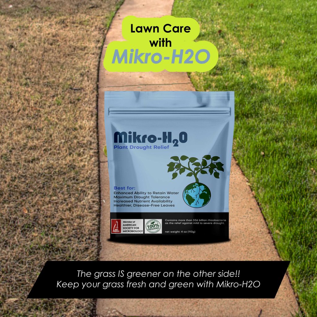 Product Infographics Design For Mikro-H20 2