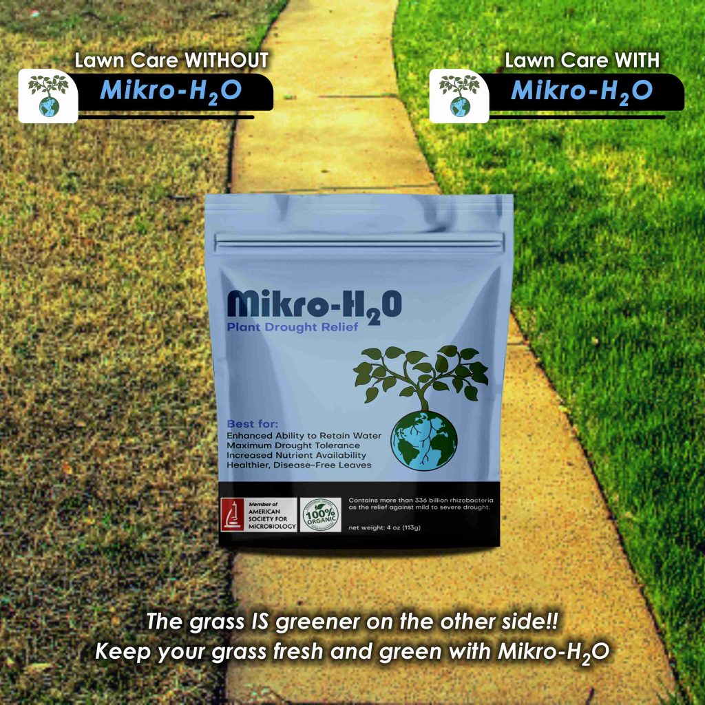 Product Infographics Design For Mikro-H20 3