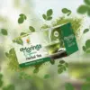 moringa tea packaging box front view design