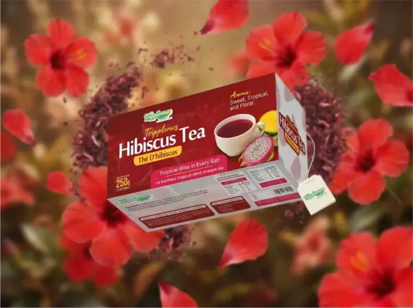 organic hibiscus tea box branding